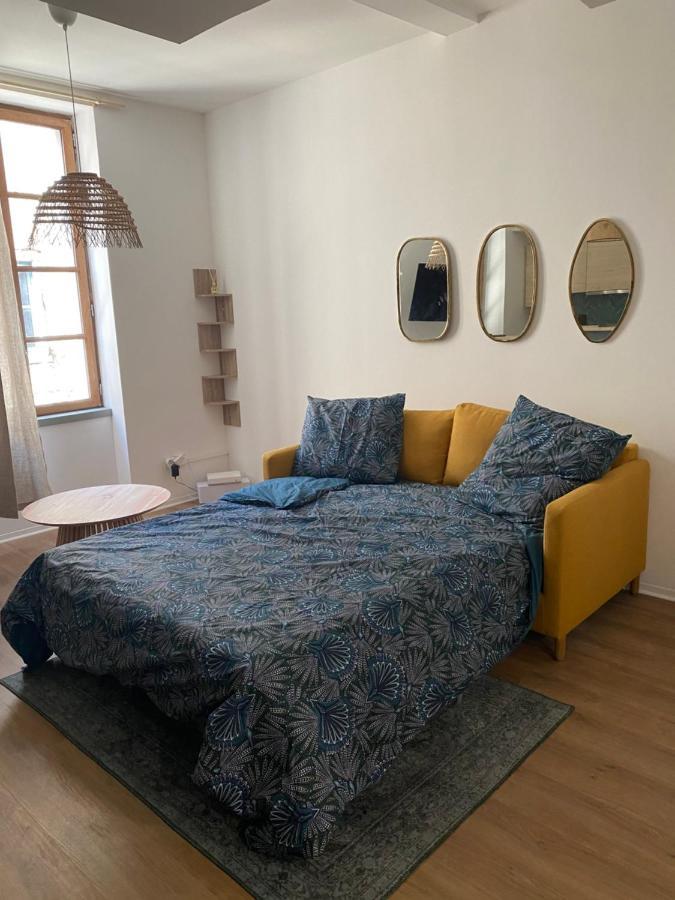 Le Bout Du Monde Appartement Hyper-Centre 卡尔卡松 外观 照片